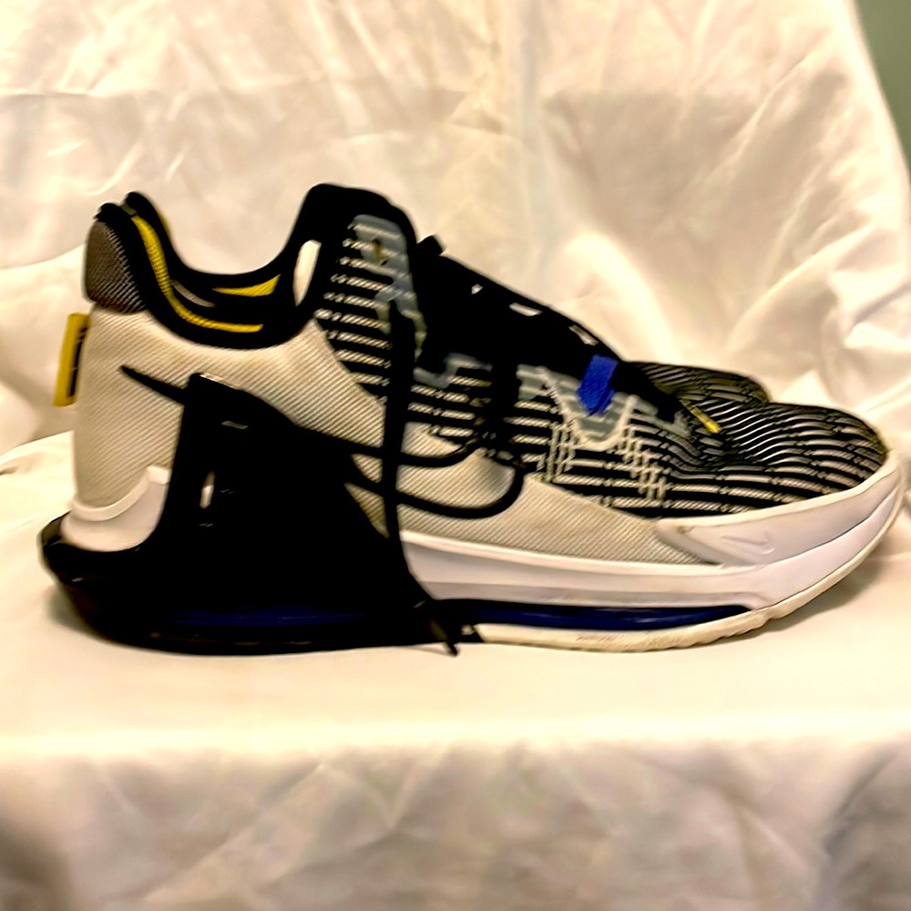 Lebron Nike (used)